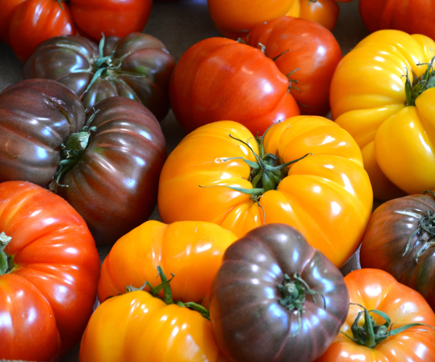 Stop the Splitting in Your Tomatoes