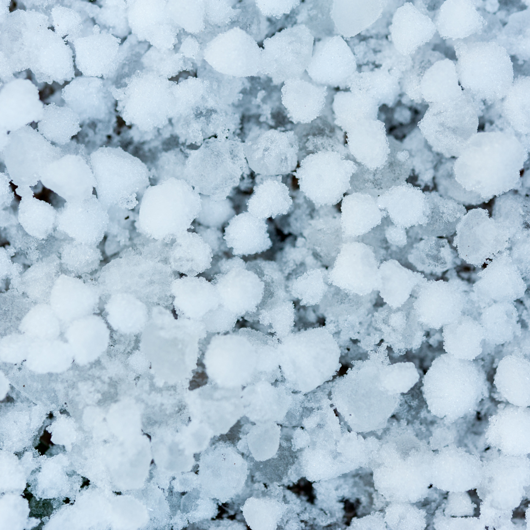 Oh, Hail No!
