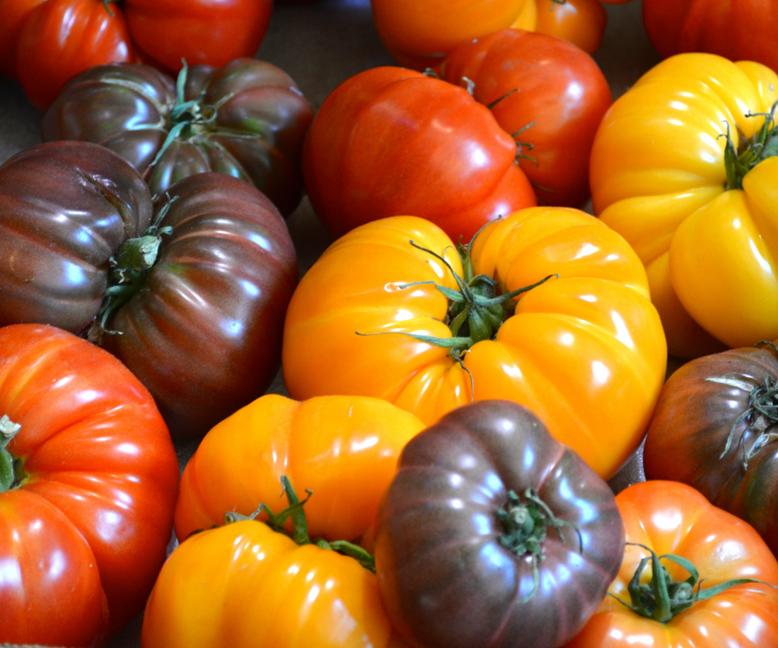 Stop the Splitting in Your Tomatoes