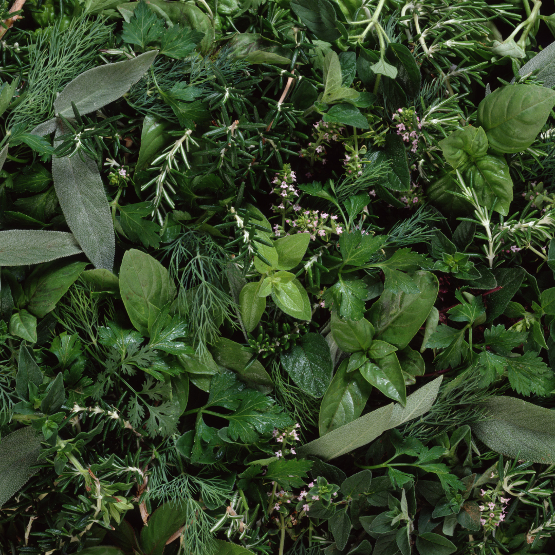 Herb Garden Tips and Tricks