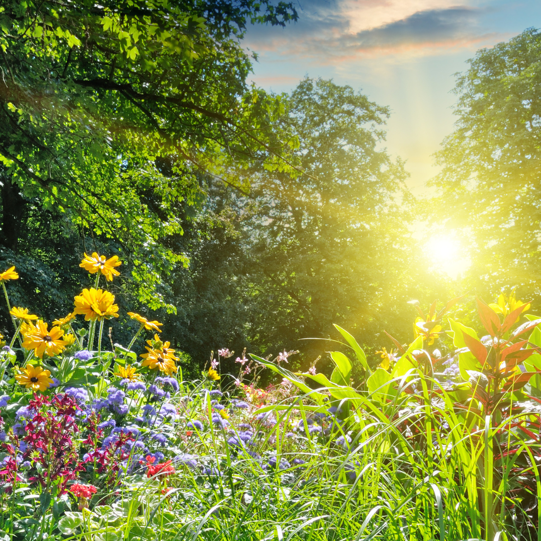 How to Handle the Summer Sun
