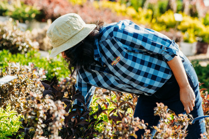 Fossil Creek Nursery