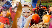 Harvest Fest 2026 RSVP