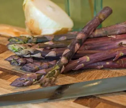 Asparagus, Purple Passion