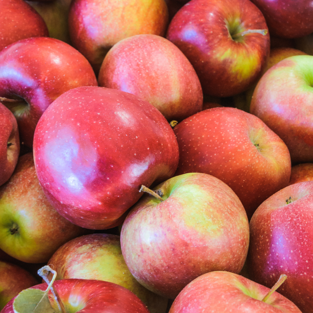 Apple, Red McIntosh