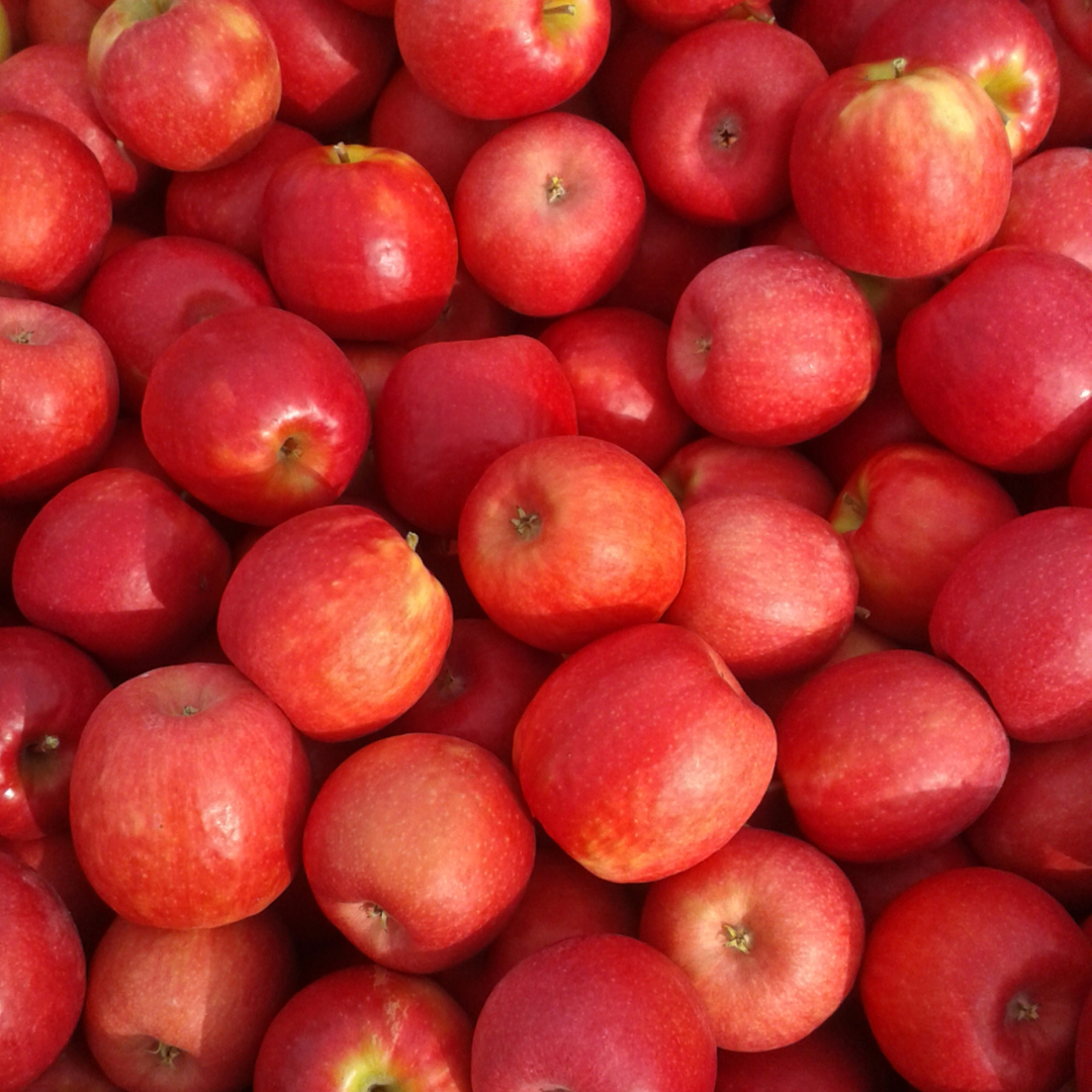Apple, Pink Lady