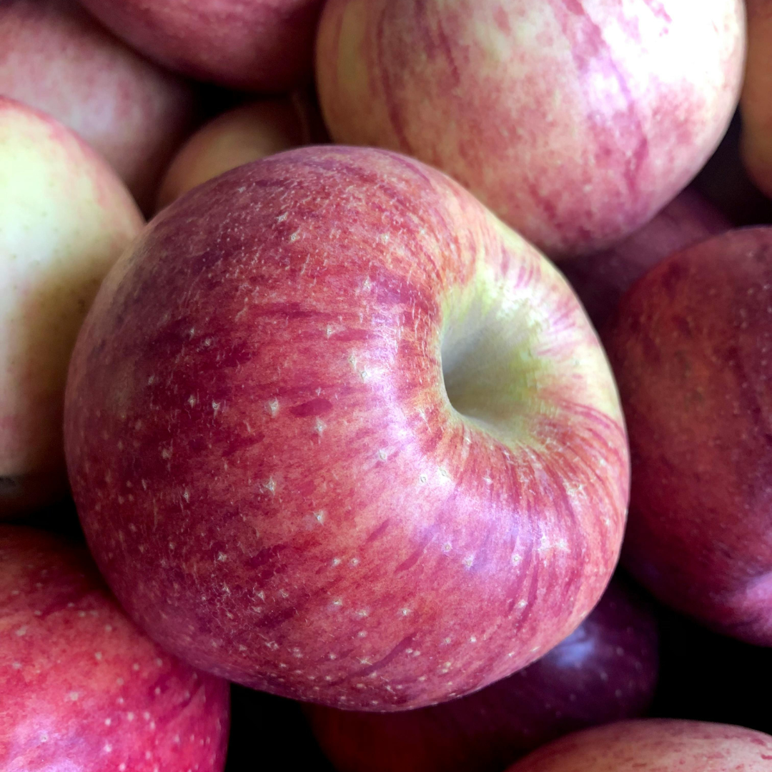 Apple, Gala