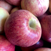 Apple, Gala