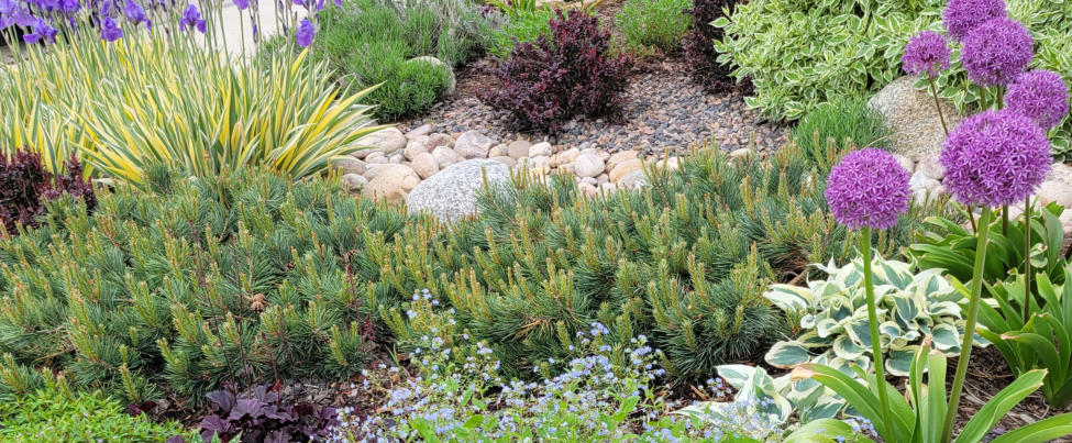Fossil Creek Nursery