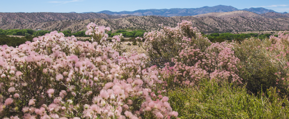Fossil Creek Nursery