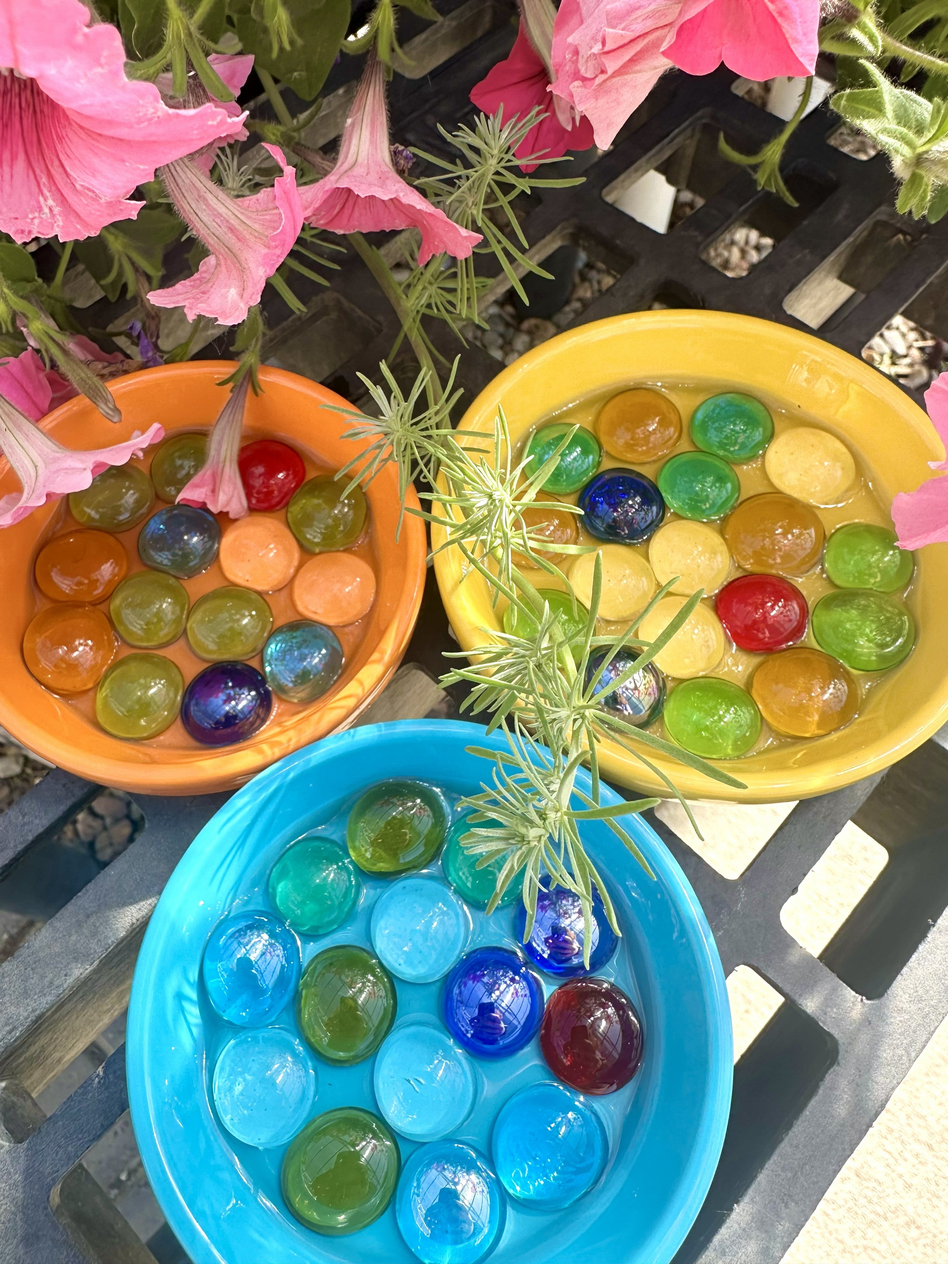 6/21 EVENT TICKET: CO Native Bee Class & DIY Bee Bath Craft