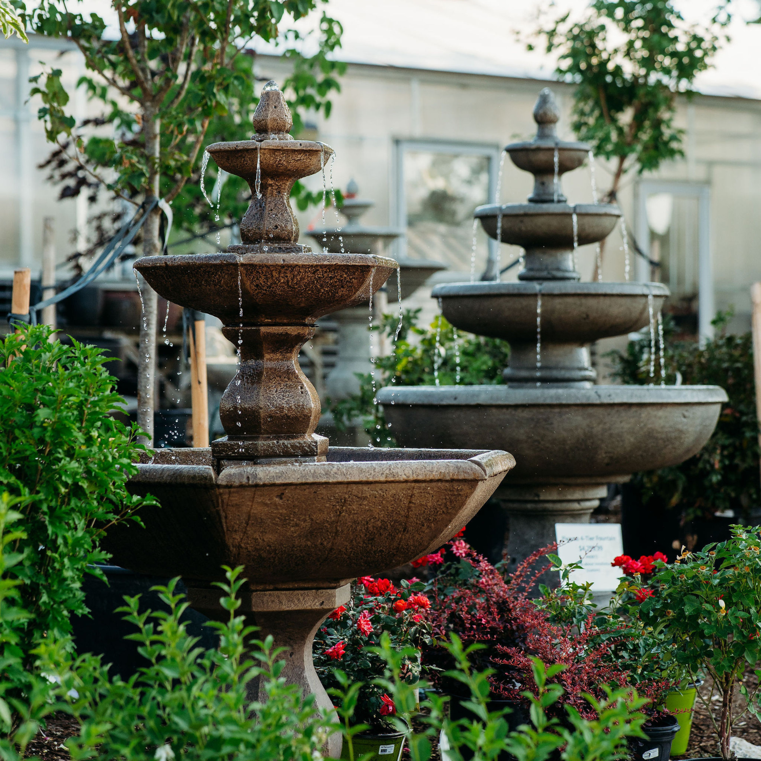 Fossil Creek Nursery