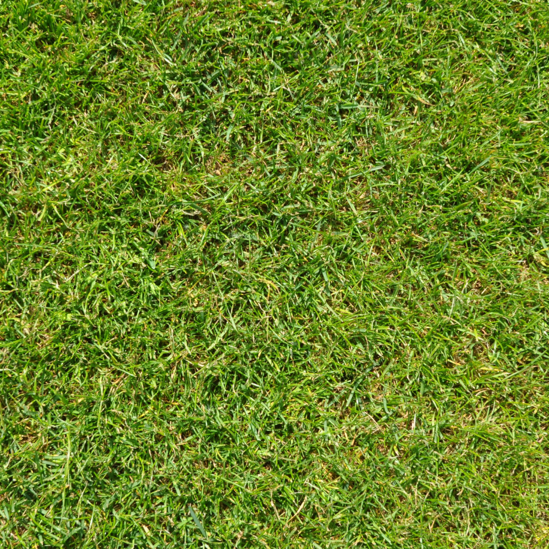 Fossil Creek Nursery